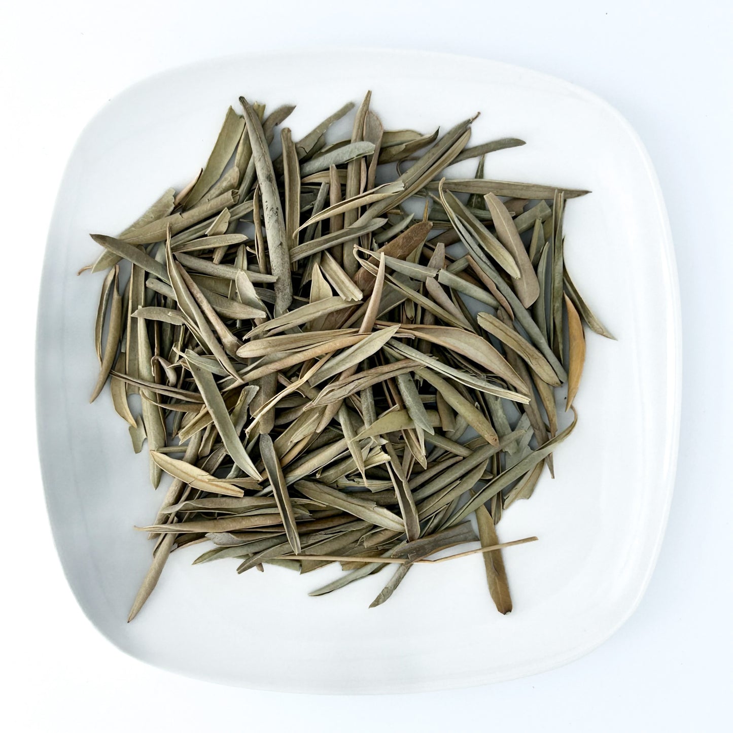 Olive Leaf - Esu Abita Botanica