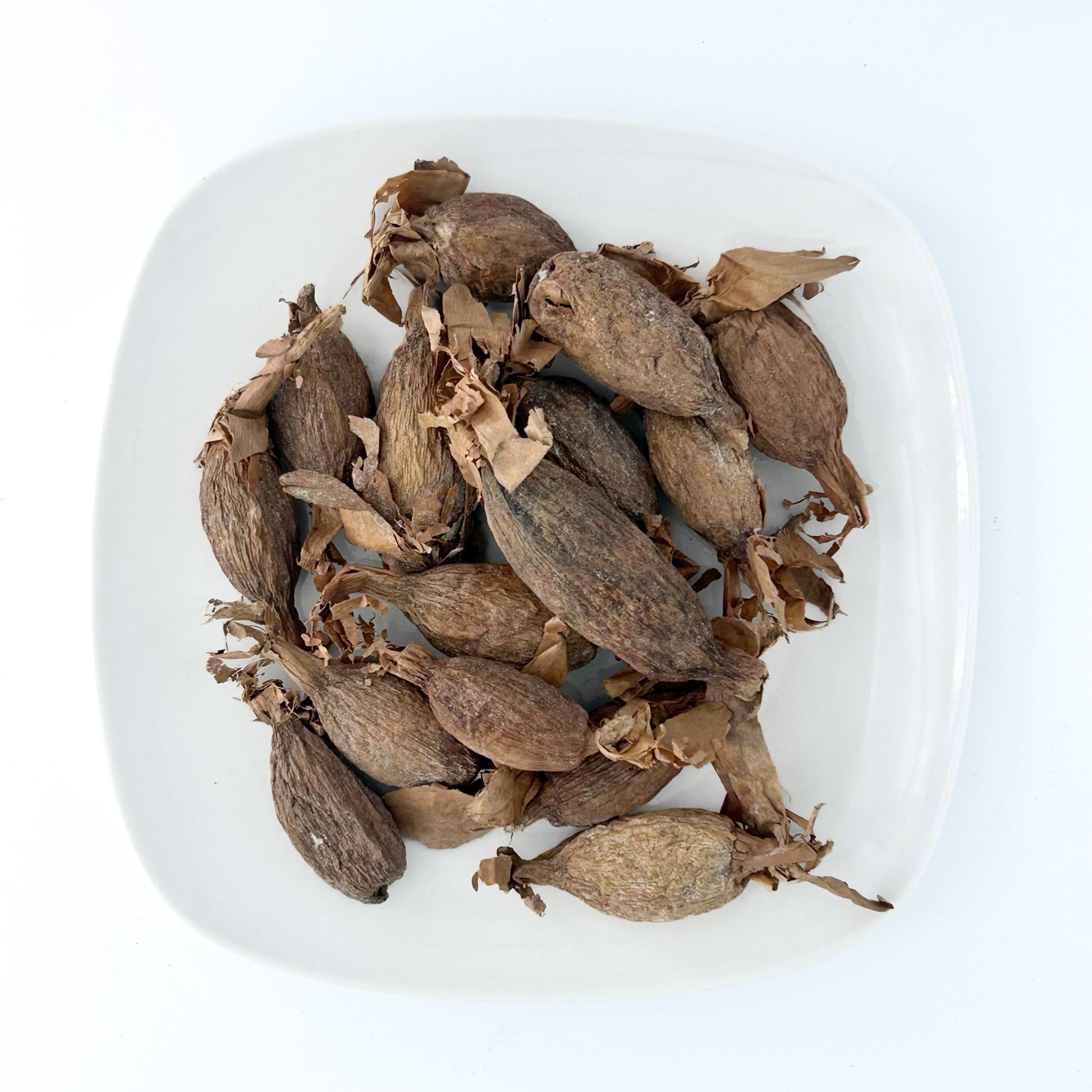 Atare Pods - Esu Abita Botanica