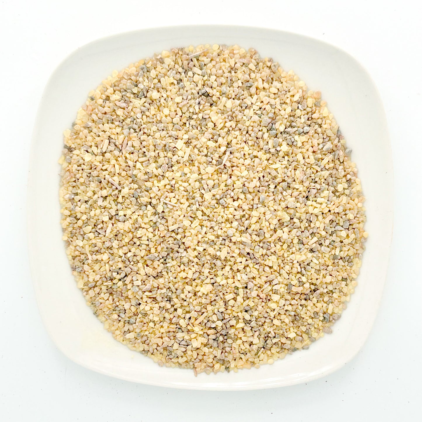 Boswellia Serrata - Esu Abita Botanica