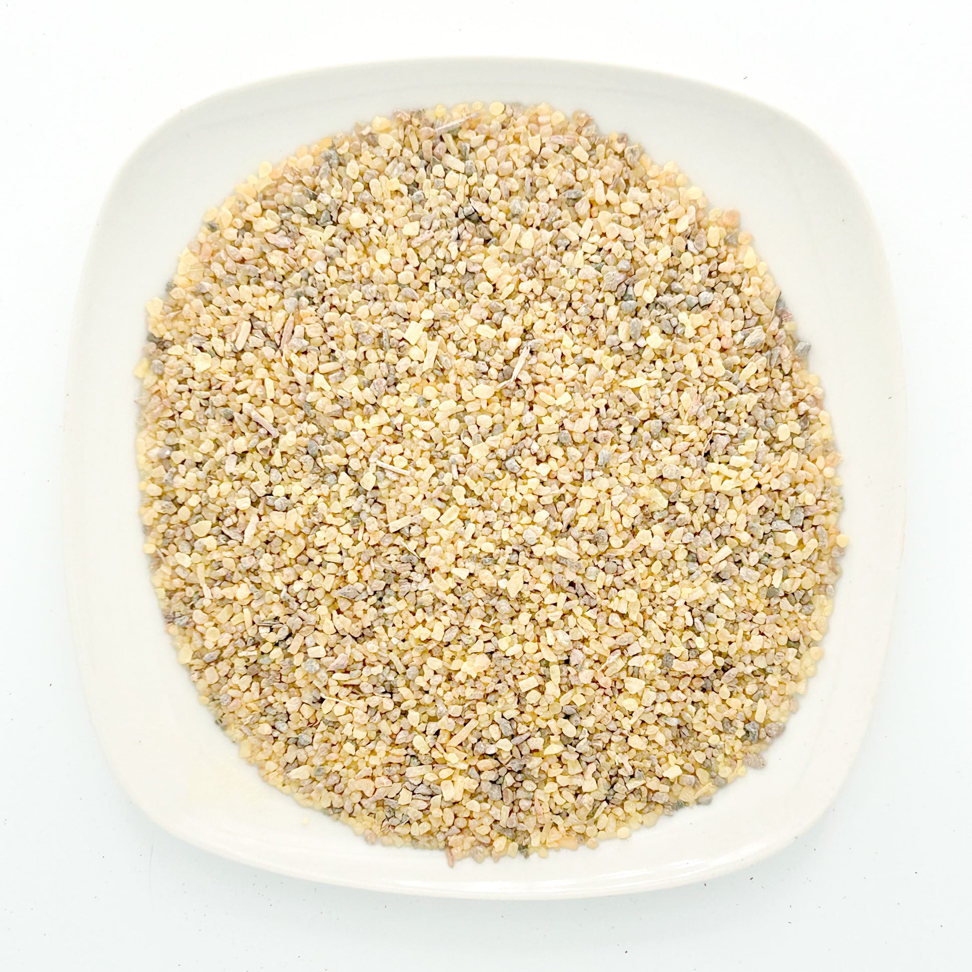 Boswellia Serrata - Esu Abita Botanica