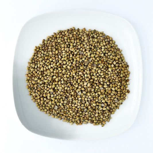 Coriander Seed - Esu Abita Botanica