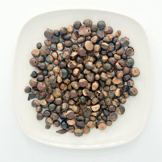 Guarana Seed - Esu Abita Botanica