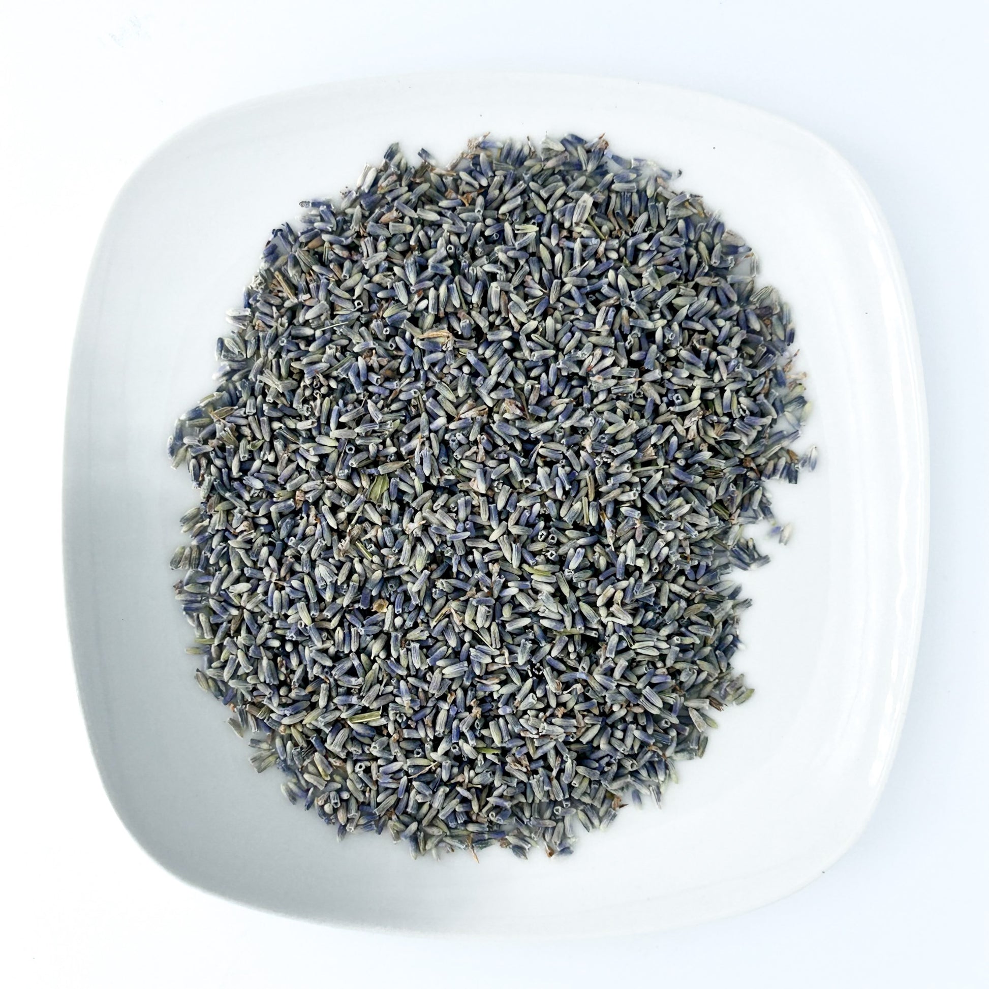Lavender Flower - Esu Abita Botanica