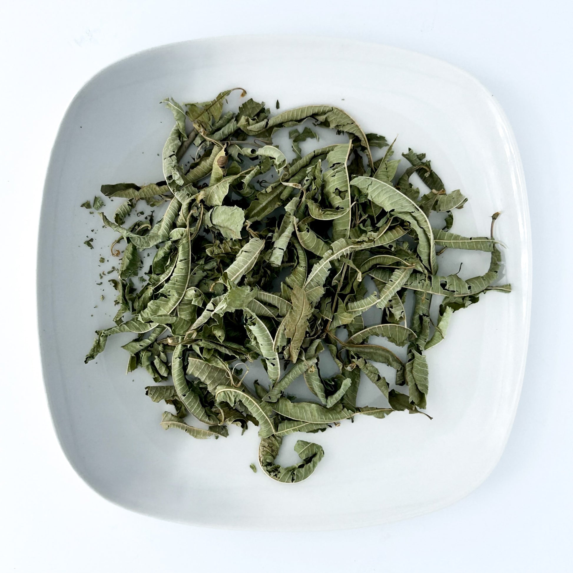 Lemon Verbena - Esu Abita Botanica
