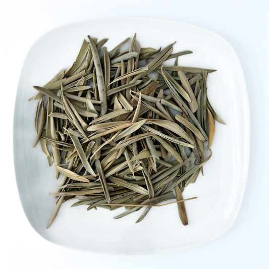 Olive Leaf - Esu Abita Botanica