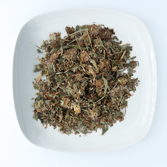 Red Clover - Esu Abita Botanica