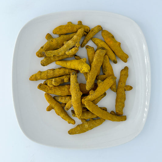 Turmeric Root - Esu Abita Botanica