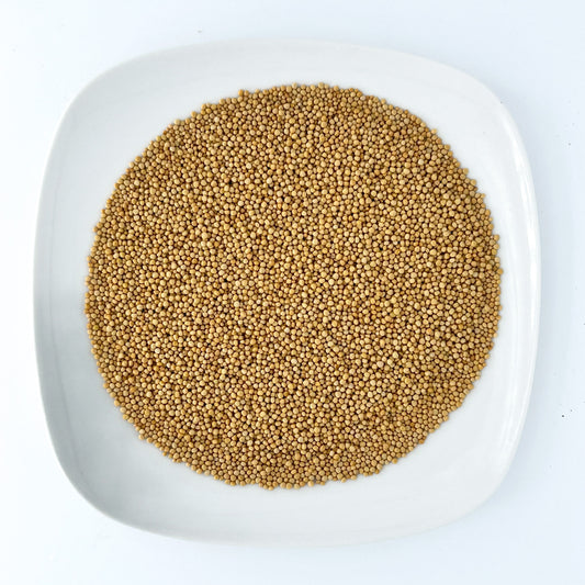 Yellow Mustard Seed - Esu Abita Botanica